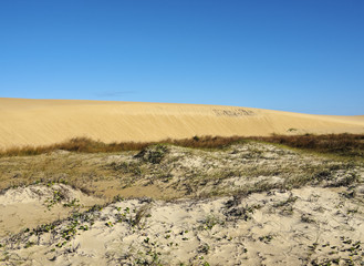 Uruguay, Rocha Department, Cabo Polonio, View of the dunes.