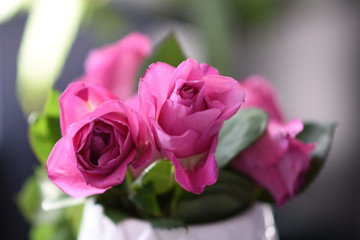 Roos