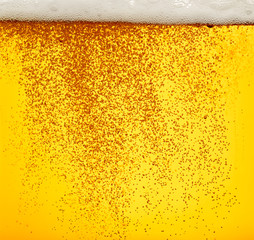 beer closeup alcohol drink beverage