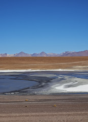 Bolivia, Potosi Departmant, Sur Lipez Province, Eduardo Avaroa Andean Fauna National Reserve,...