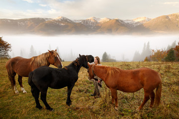 Beautiful girl with horses in a mountains. Portrait of a beautiful young woman looking at the landscape while hiking in a mountains. Young woman take care of her horse. Early morning.Misty mountain.