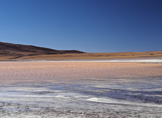 Bolivia, Potosi Departmant, Sur Lipez Province, Eduardo Avaroa Andean Fauna National Reserve,...