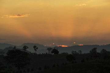 Hill at the soft sunset