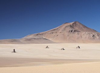 Fototapeta na wymiar Bolivia, Potosi Departmant, Sur Lipez Province, Eduardo Avaroa Andean Fauna National Reserve, Landscape of the Dali Desert.