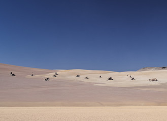 Fototapeta na wymiar Bolivia, Potosi Departmant, Sur Lipez Province, Eduardo Avaroa Andean Fauna National Reserve, Landscape of the Dali Desert.