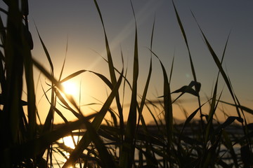 Fototapeta premium Infinito