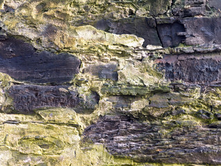 Fototapeta premium Colorful stone wall closeup