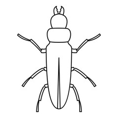 Beetle icon. Outline illustration of beetle vector icon for web