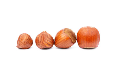 Group hazelnuts isolated on white background