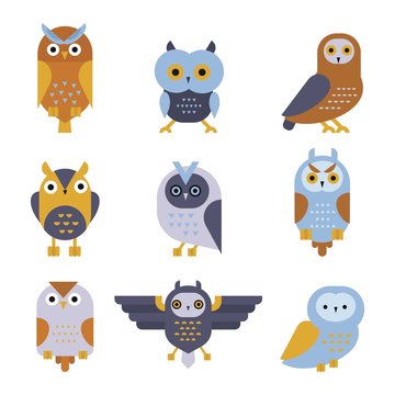 Owl wild bird cartoon vector.