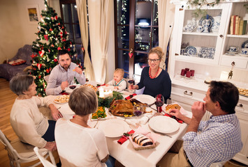 Beautiful big family celebrating Christmat together