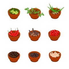 Isometric and cartoon style flavorful spices, condiments icon. Vector illustration. White background.