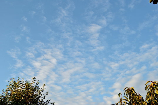 A semi-cloudy, blue sky