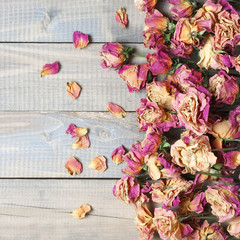Dry roses background