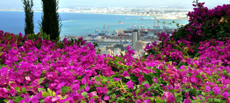Stadtbild von Haifa