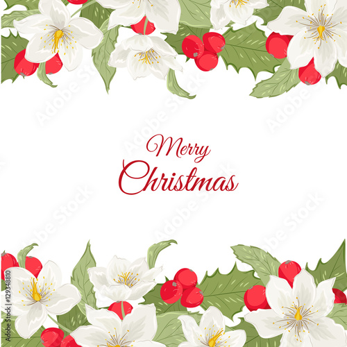 poinsettia border horizontal