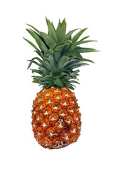 Fototapeta premium Ananas détouré