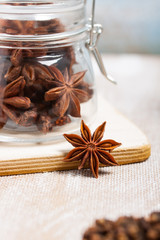 Star anise in glass jar