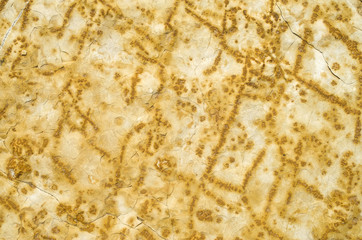 Cracked yellow sandstone closeup