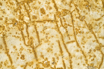 Cracked yellow sandstone closeup