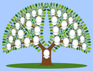 Family tree The file has four layers: background, stem, leaves and frame. Four kinds of leaves