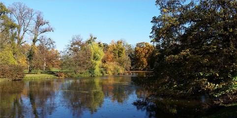 Fototapeta premium Trees reflecting in the lake