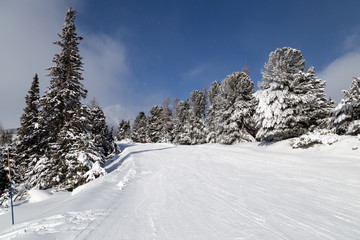 Winter mountain landscape . Strbske Pleso. Slovakia.