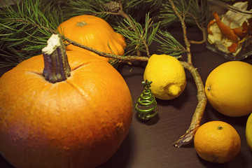 Christmas still life with citrus fruit, pumpkin and fir branches