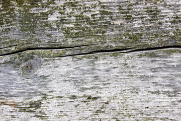 Wood texture with cracks