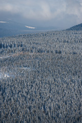 Widok ze szczytu Czarnej Góry na Masyw Śnieżnika