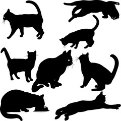 cats silhouette collection - vector