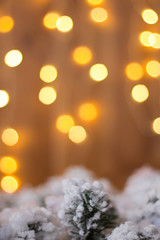 Fototapeta na wymiar Christmas-tree branch under snow on a background of yellow light