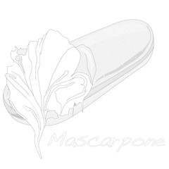 Mascarpone cheese vector