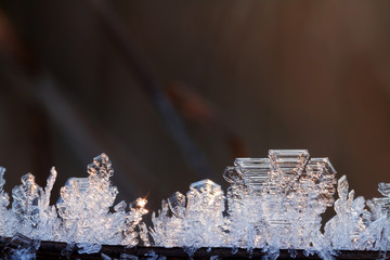 Beauty in nature frozen ice