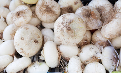 white onions on a market