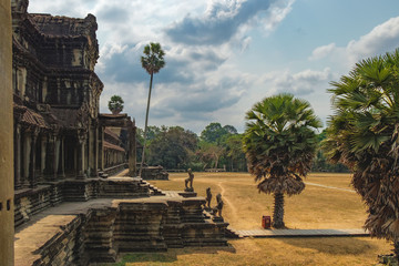 Fototapeta na wymiar Ancient ruins of temple complex Angkor Wat surrounded by palm trees, Siem Reap, Cambodia.