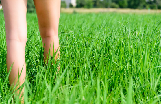 Wiese  mit Frauenbeinen - Zeckenbiss