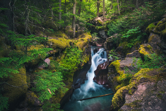 Fototapeta Avalanche Creek waterfall. Glacier National Park, Montana, USA
