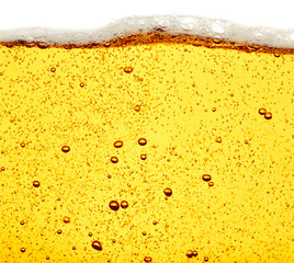 beer closeup alcohol drink beverage
