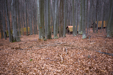Wooden cabins in Petrova gora, Croatia. Here was partisans hospital in World war II.