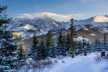 View on Ice Peak from Rusinowa Polana - Tatra Mountains © grzegorz_pakula