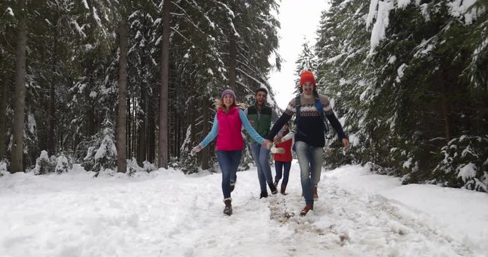 People Group Snow Forest Happy Smiling Young Friends Talking Walking Outdoor Winter Pine Woods Slow Motion 60