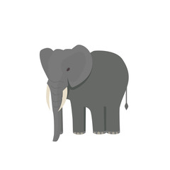 Obraz premium Cute little african elephant isolated on white. Baby animal african zoo vector illustration.