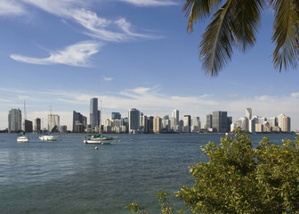 Fototapeta na wymiar Skyline of Miami Florida