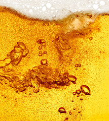 beer closeup alcohol drink beverage