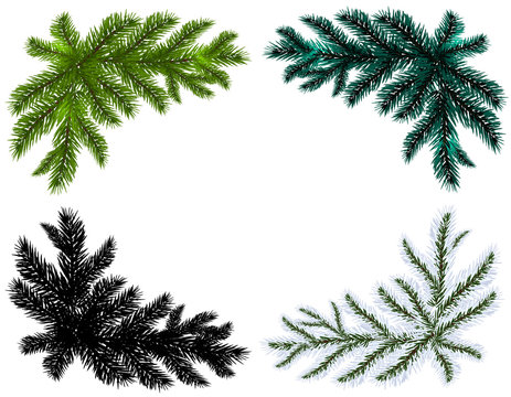 Set. Blue, black, white and green Christmas tree branches on an isolated white background. illustration