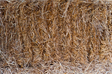 Сено / Texture hay close up
