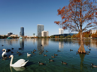 Skyline of Orlando Florida