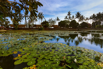 Pond in Candidasa - Bali Island Indonesia