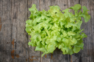 Lettuce vagetable on wooden plank, Top view shooting